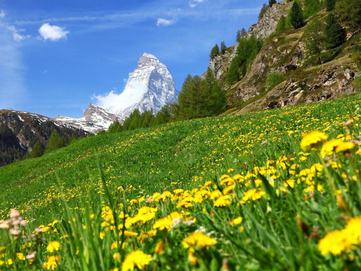 Apartment Breithorn By Interhome Zermatt Zewnętrze zdjęcie